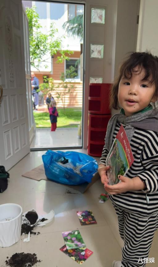 宋宁峰一家三口搬到上海定居，张婉婷预产期将至，透露二胎是男孩