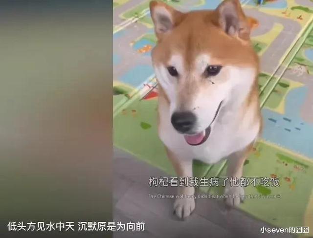 郑爽晒新照：过圣诞节布置得略显冷清，总发文案怀念当明星的生活