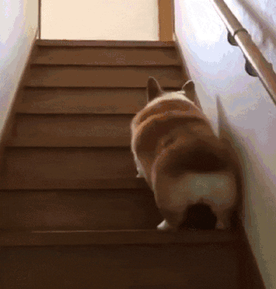 你试过爬楼梯减脂吗？热量消耗大，选对姿势很重要！