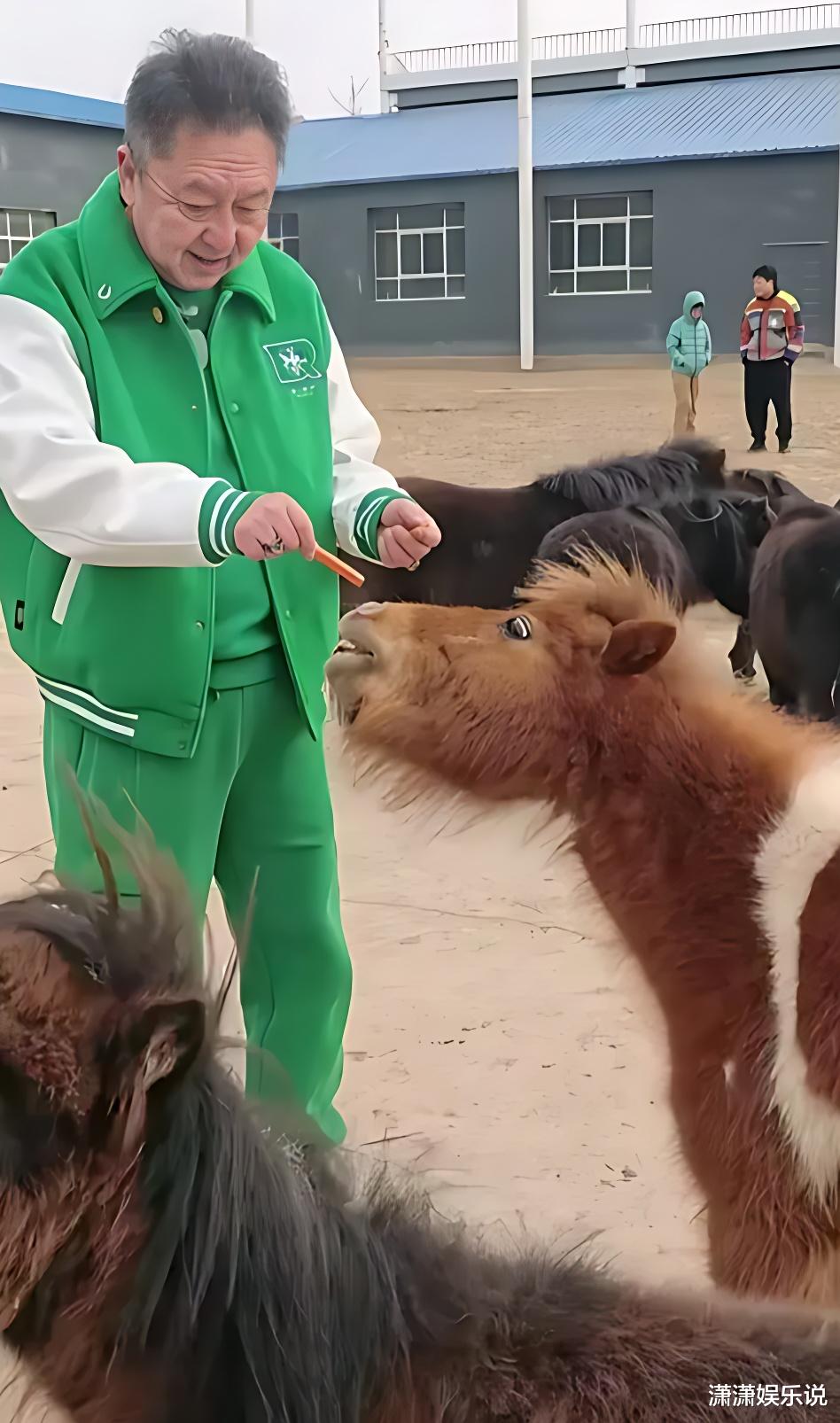 德云社珍宝于谦现身马场,岁月痕迹让人心疼,网友:保重身体!