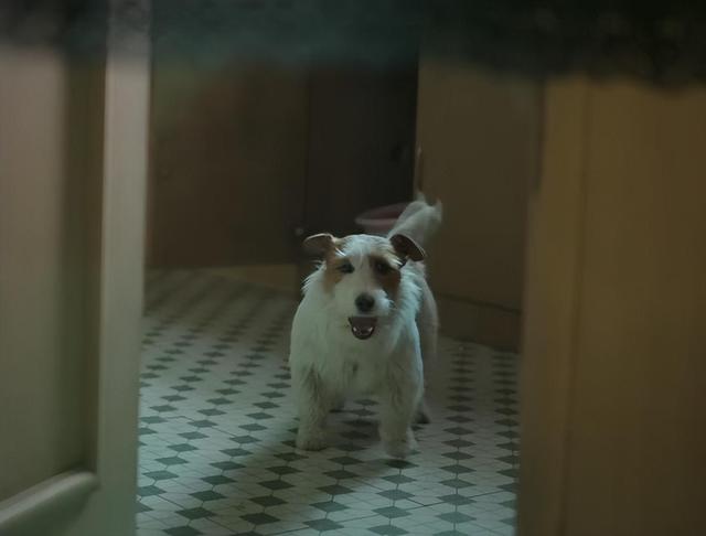 今晚首播!15 集大剧来袭,这是《扫黑风暴》后我唯一想追的悬疑剧