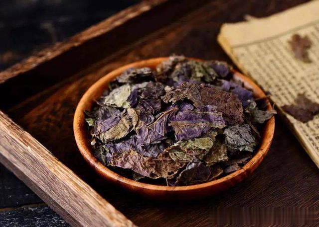 一味纯阳之草,能把全身的寒气都带走,痰湿无处可逃