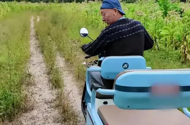 陈佩斯：70岁拥北京万亩良田，催生得四个孙子孙女，网友：大智慧