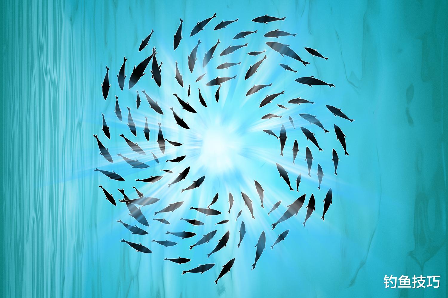 气味传播剂对钓鱼的作用以及真假辨别