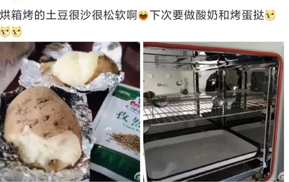 女生做美甲、在实验室烤红薯,把规则当儿戏,网友:你也配读研?