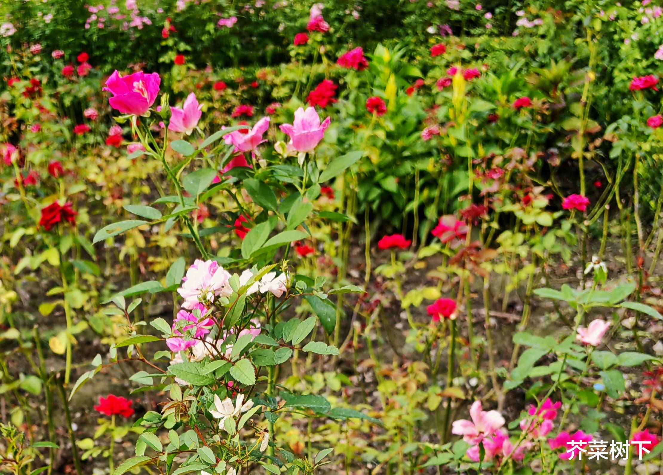职场读点书:“听其言观其行”(三)——“井有仁焉”,宰予问你跳不跳
