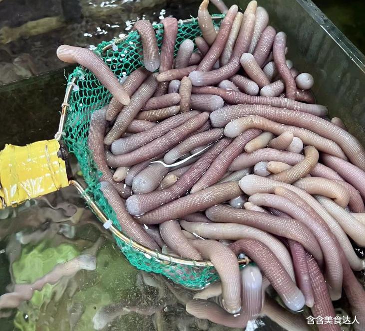 广西6大“怪菜”当地人钟爱，外地人难以下咽，你尝试过吗？