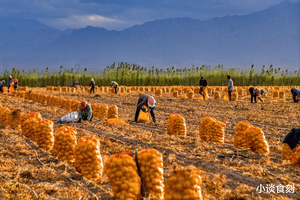 8月7日立秋不一般,出现4大特点,有什么预兆?建议提前做好准备