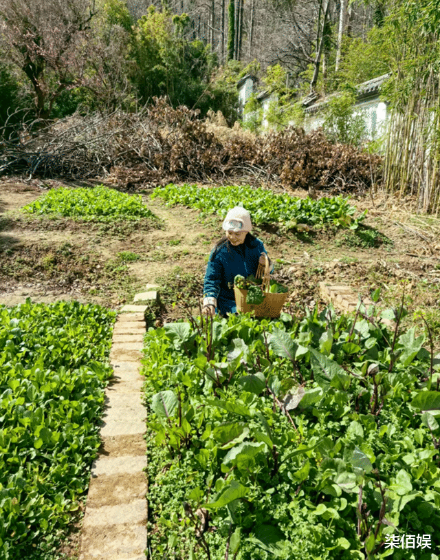 龚琳娜离婚第一年独自在云南过年，挎着竹篮摘菜，生活朴实却幸福