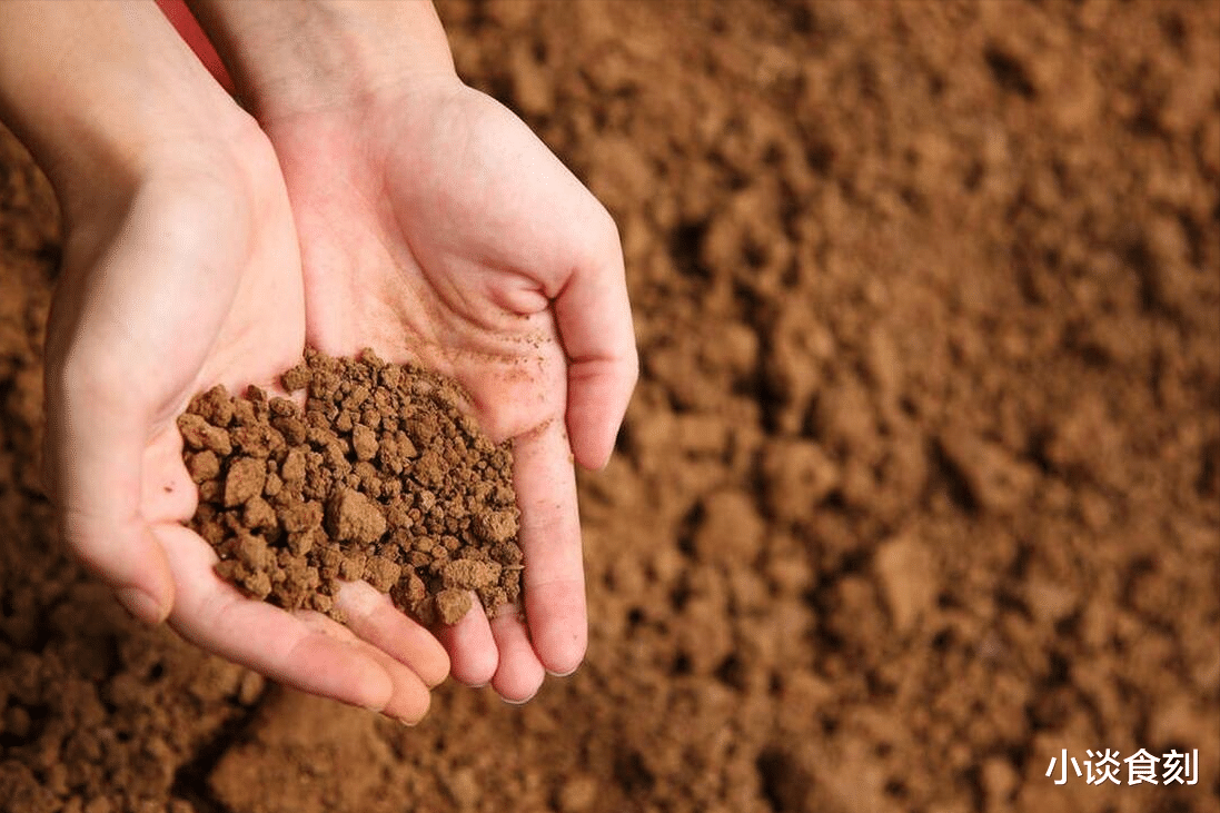 明日五月廿九“闭日”，若条件允许，建议：1不贪，2不做，3要吃