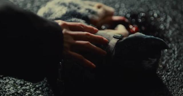 尺度与深度齐飞，这部残暴新剧真的杀疯了