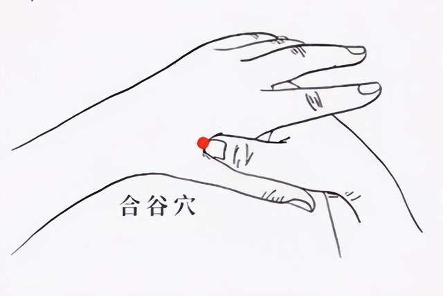 脾不好按手,肝不好也按手?两个穴位教你在家护肝养脾,不花钱