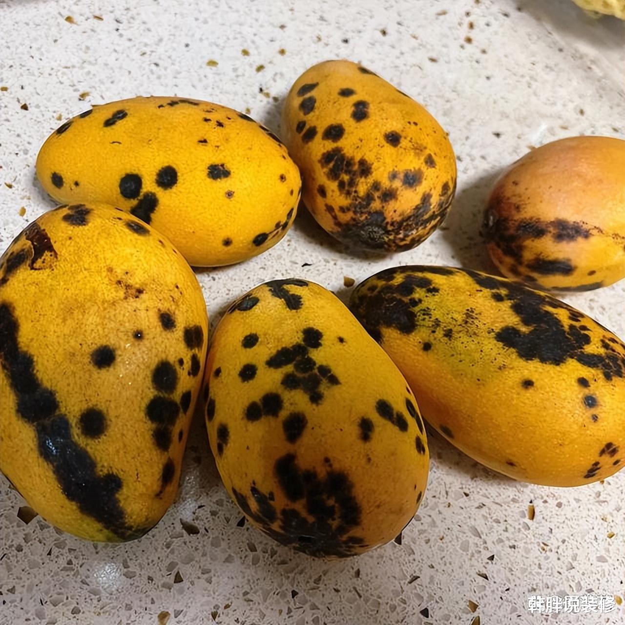 不能放进冰箱的5种东西，食物变“毒物”，快看看你家有没有？