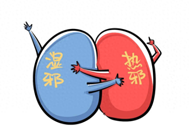脾胃湿热、肝胆湿热、大肠湿热、膀胱湿热,有何区别?一次讲清楚