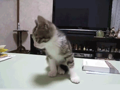 郑恺苗苗两家人吃团圆饭，三胎女宝宝出镜，老大老二正脸都像郑恺