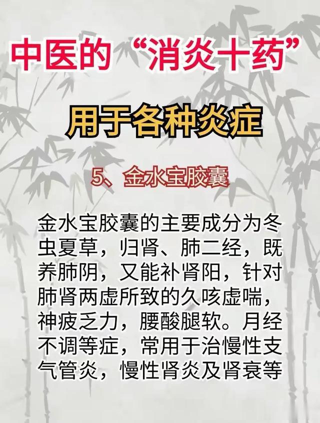 中医秘宝：揭秘“消炎十药”，告别炎症烦恼！