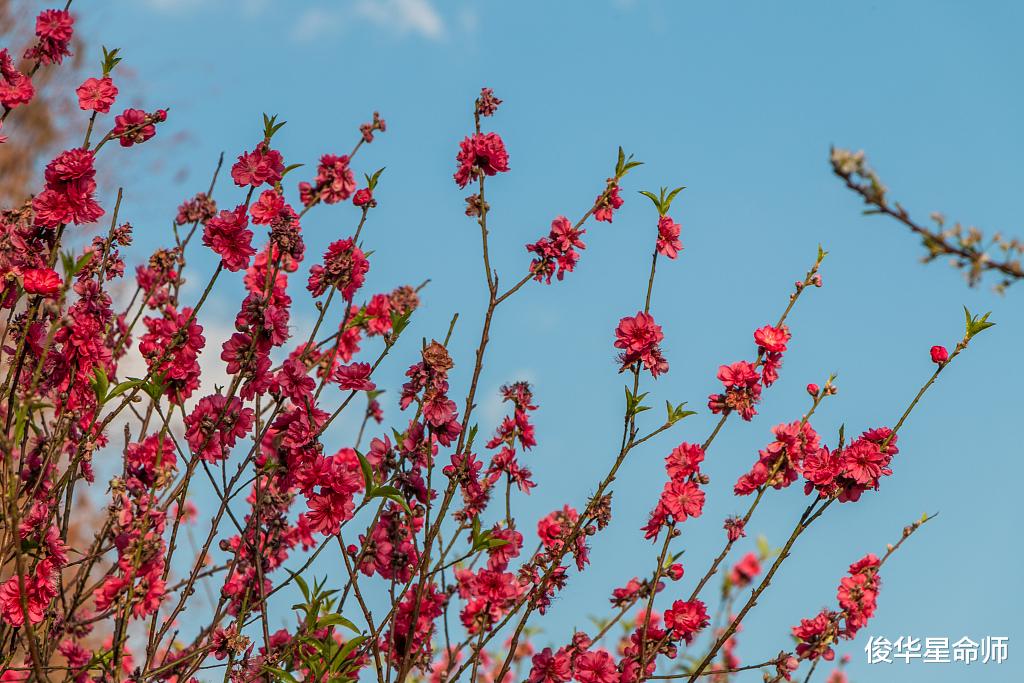 数字起卦，占工作跳槽事宜