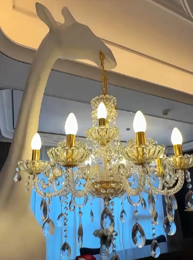 赵本山女儿晒沈阳新家，8室5厅7卫总共1018平，有钱就是任性！