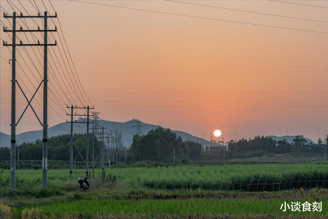 “望日三不做,福禄自然来”,三月十五望日,哪3不做?莫忘传统