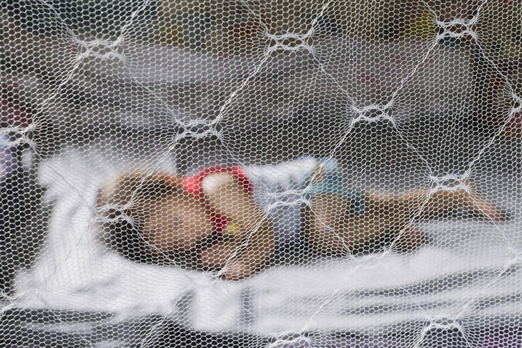 53岁大哥被虫子咬后高烧不退，深夜入医！医生摇头：怎么现在才来