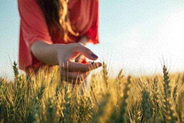 成年人最大的清醒：体制内提拔并不全都是好事！原因既现实又扎心