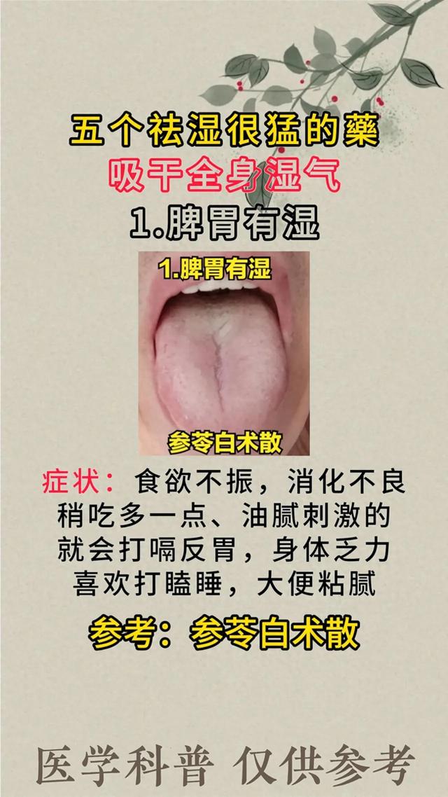 湿气重？别怕！五大神奇药材，轻松吸干体内湿气