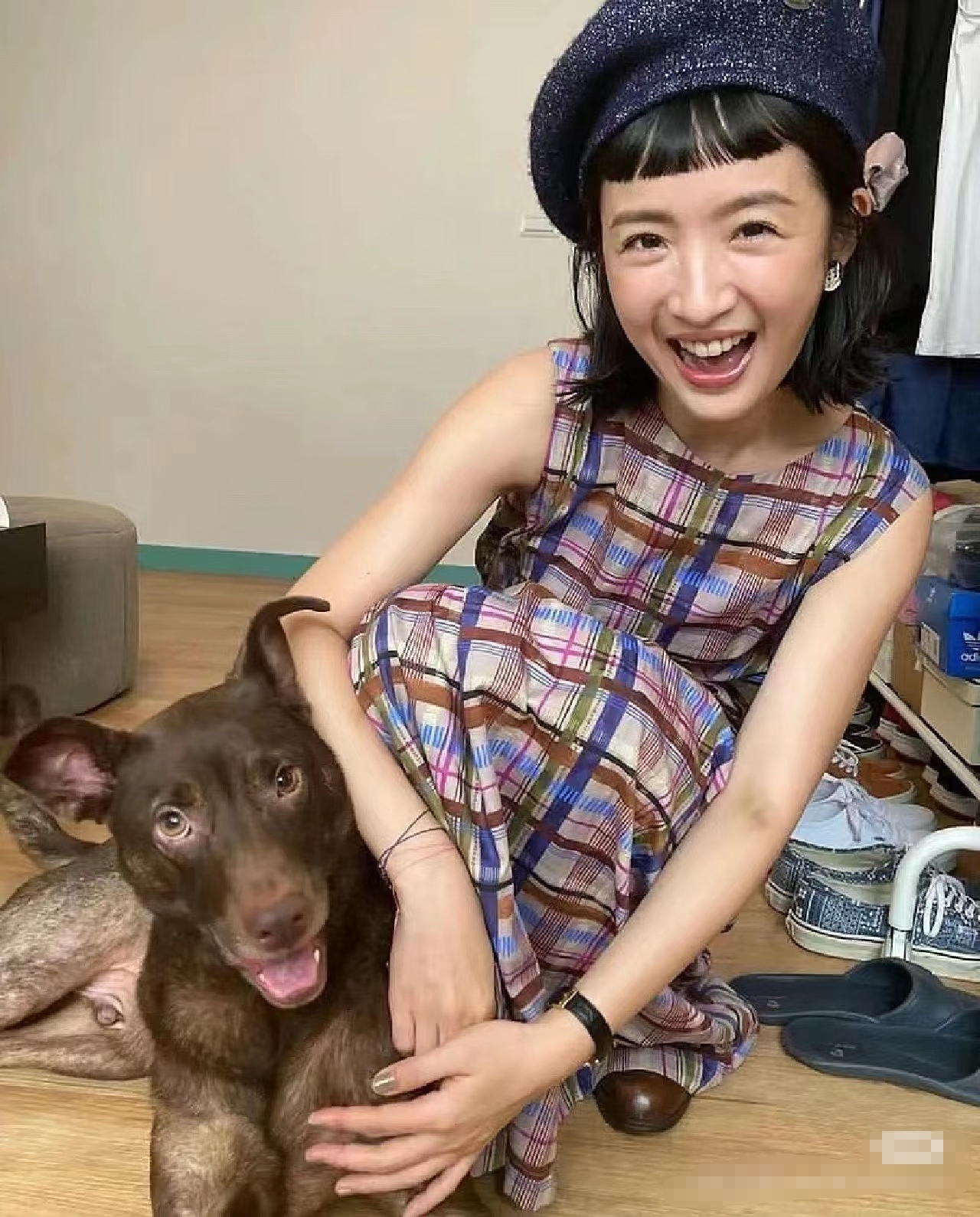 陈哲远|林依晨参加恋爱综艺引发热烈讨论，网友期待其真实魅力绽放