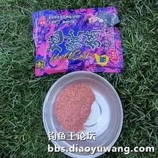 腥香地狱猫初春爽钓鲫