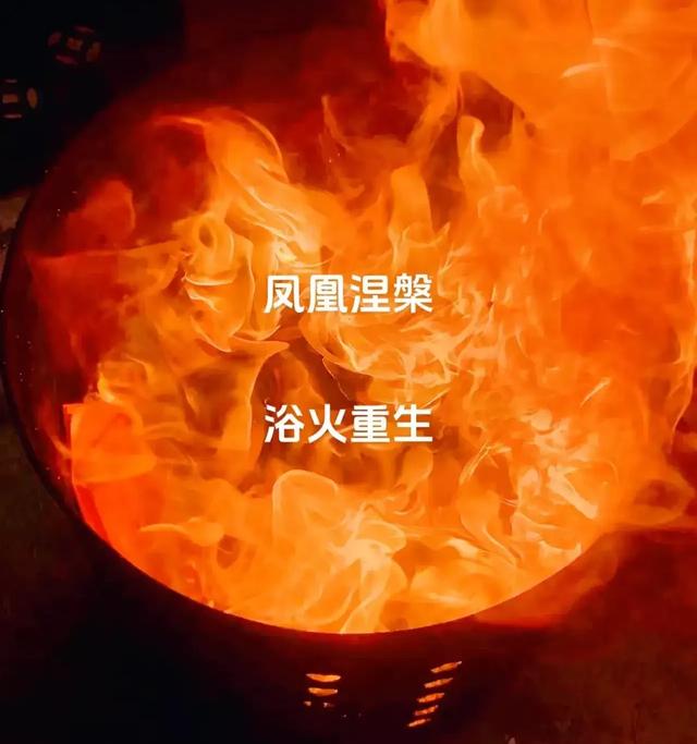 立夏，一飞冲天的星座：迎来惊喜转运！