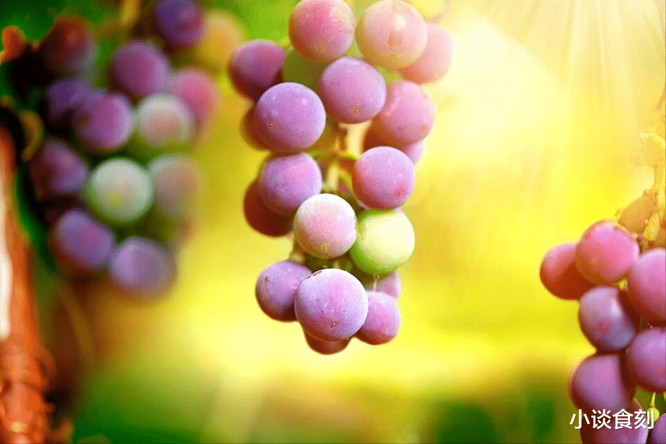 进入8月,少吃西瓜和菠萝,多吃5果,降燥热,补充水分,顺利入秋