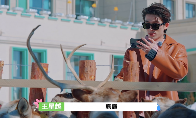 王鹤棣|王鹤棣又来跑男了,和白鹿合体,同行的还有段晓薇