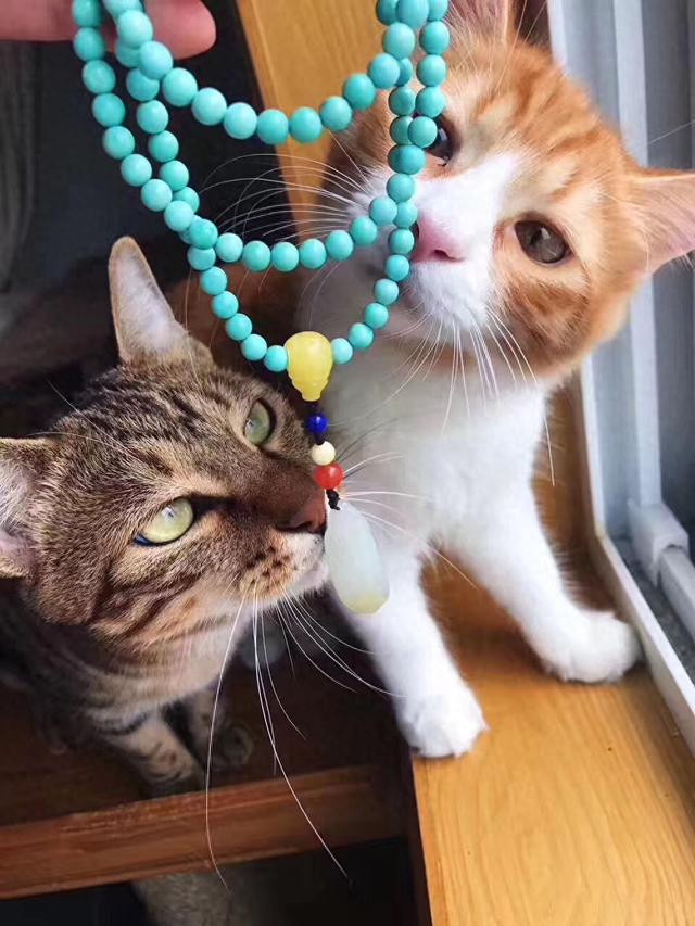 玩綠松石才有的焦慮