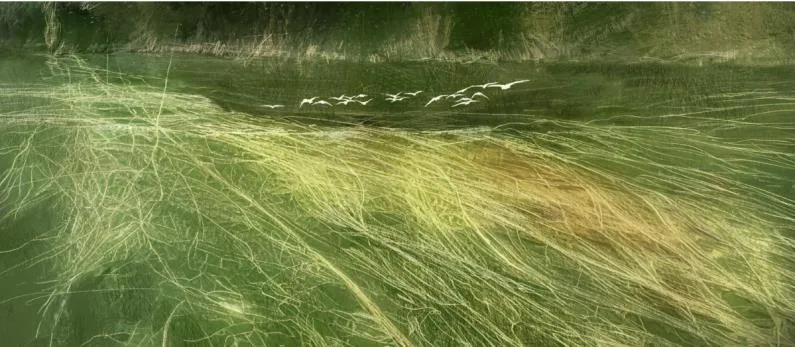 《长江艺术计划开启，打造漂流于长江三峡上的艺术之风》