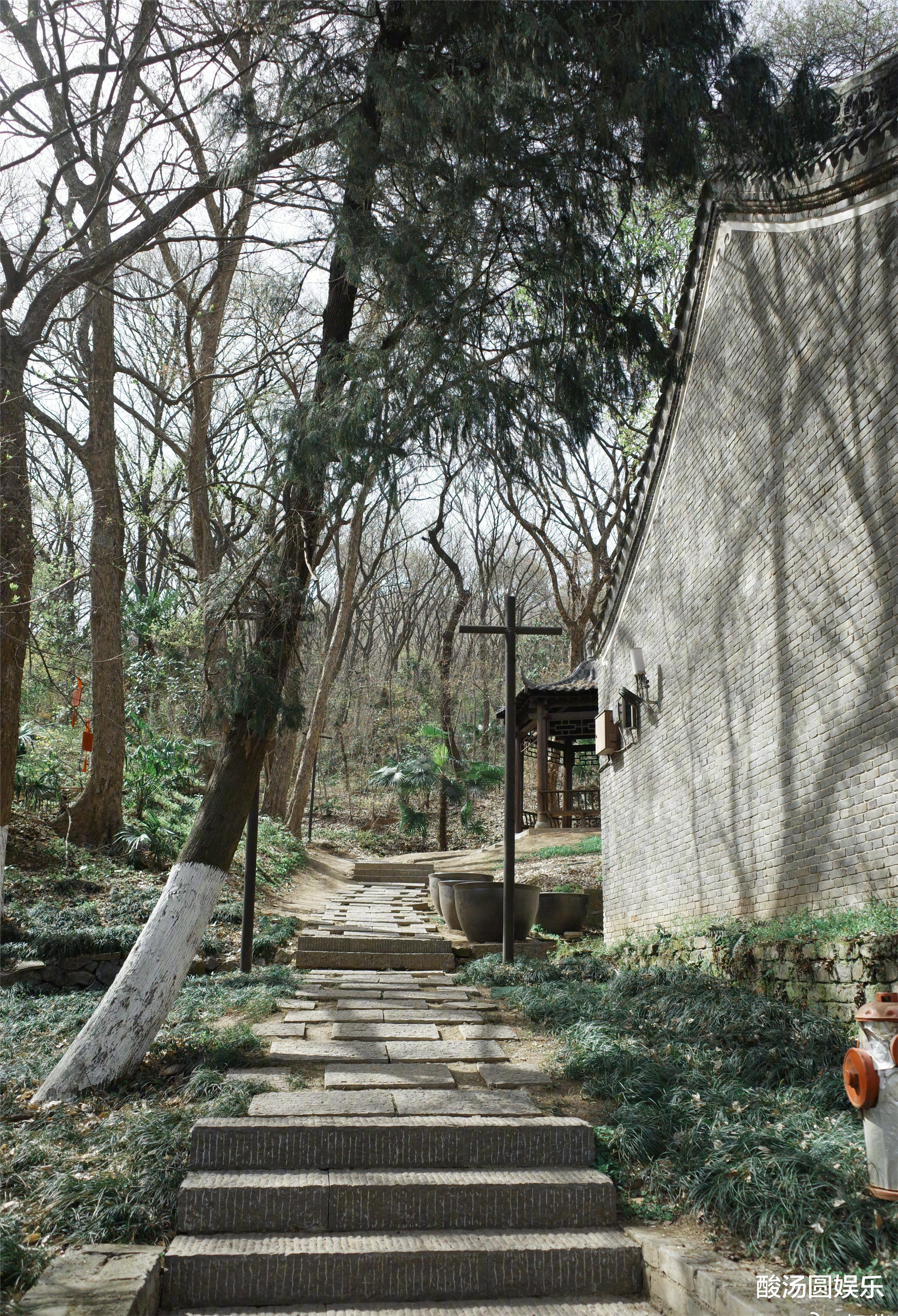 杨紫邀你共赏春色,她究竟想表达什么呢?