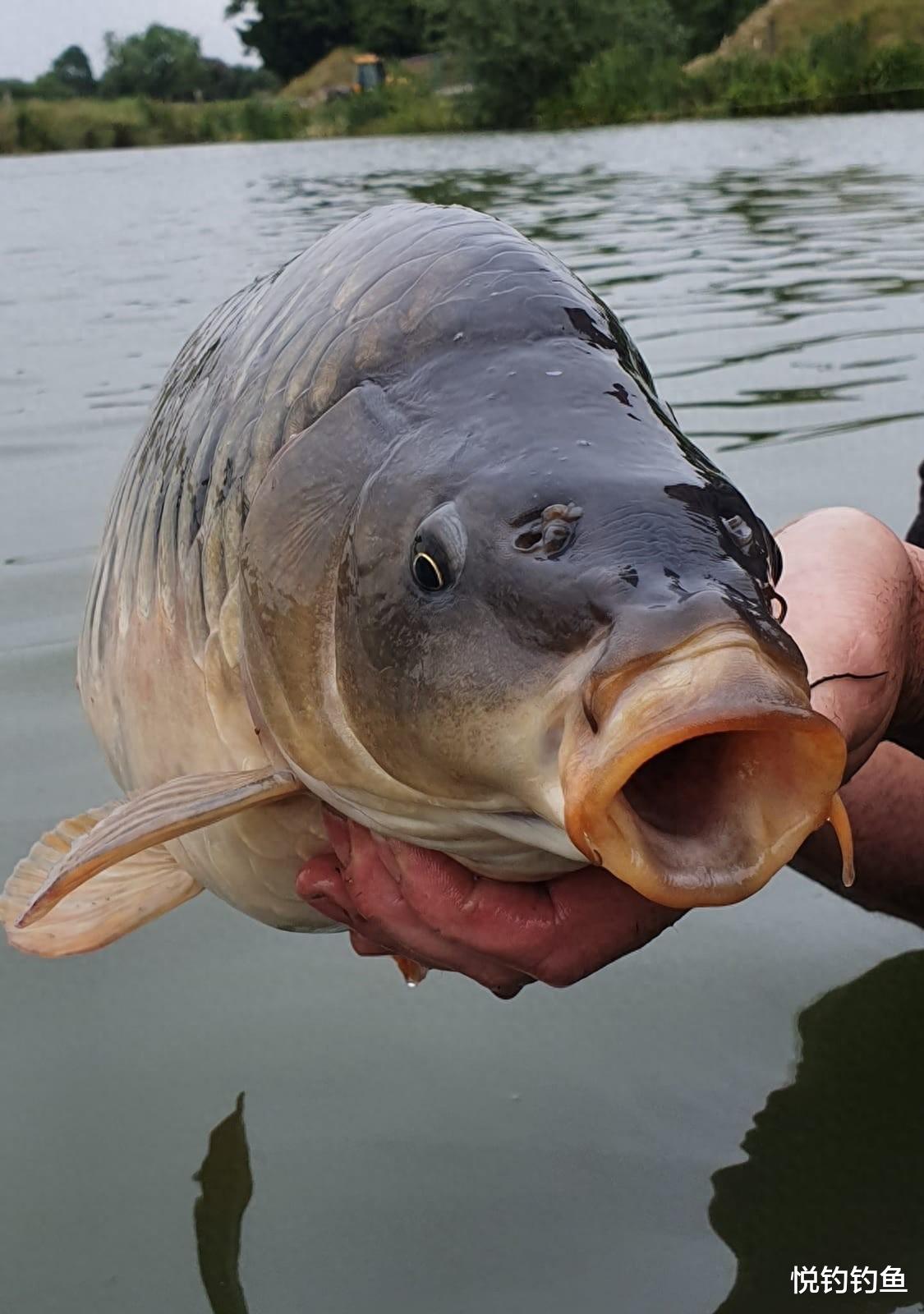 钓大鱼是个技术活儿，先从准备工作开始……