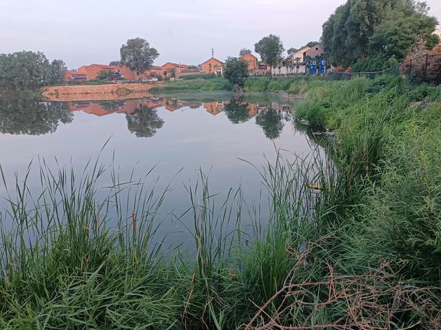 钓白条渐入佳境，北漳村初试新方法，人轻松，鱼获也超了前几次