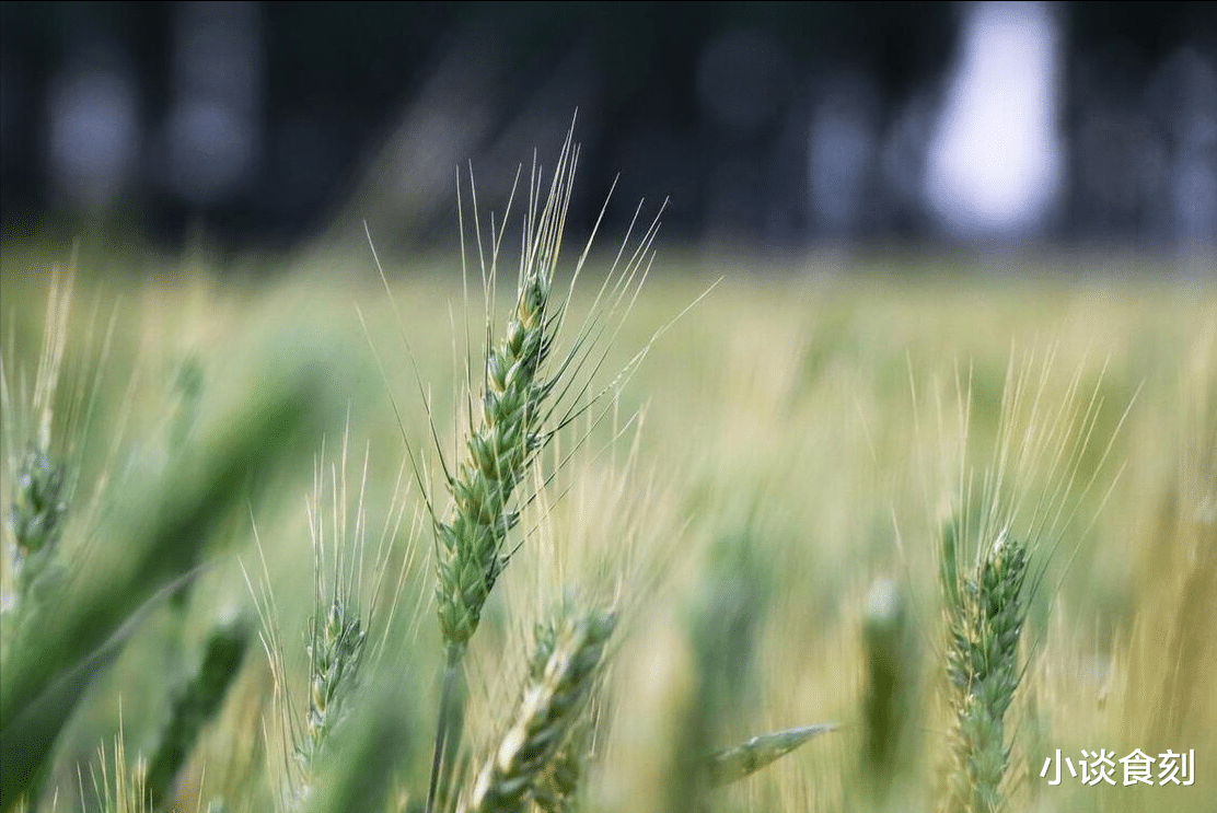 老话说“四月廿九有三怕”,人们到底在怕什么?农村农谚早有答案