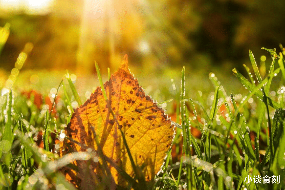 今年出伏之后为啥还这么热?还要热多长时间?什么时候变凉快?