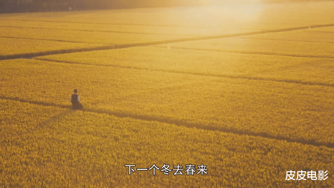 给近3年最好的10部国产剧排个名:《人世间》第9名,第1名没争议