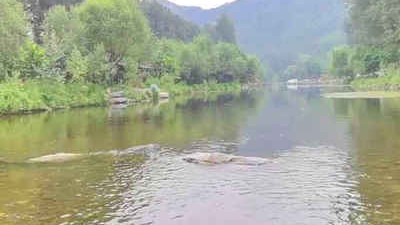 在走水环境中怎么钓鱼？想免受其影响，就要这么做！