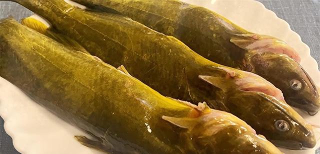 买黄骨鱼,一般人专挑颜色黄个头大的,鱼贩:自己从来不吃