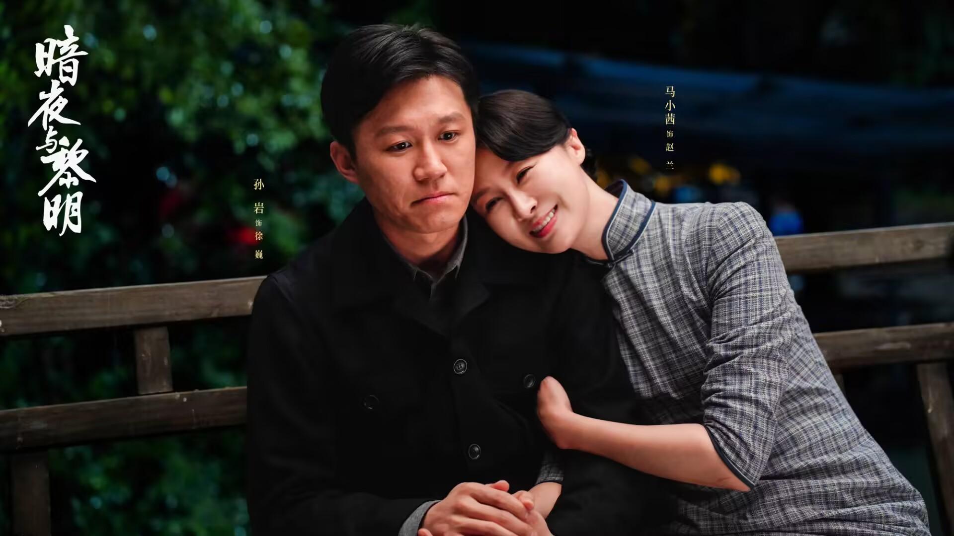 暗夜与黎明:直到徐巍隐藏身份曝光,林少白才知,他为何没被灭口