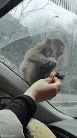 搞笑GIF：女朋友给我分享减肥成果，我悬着的心终于放下了