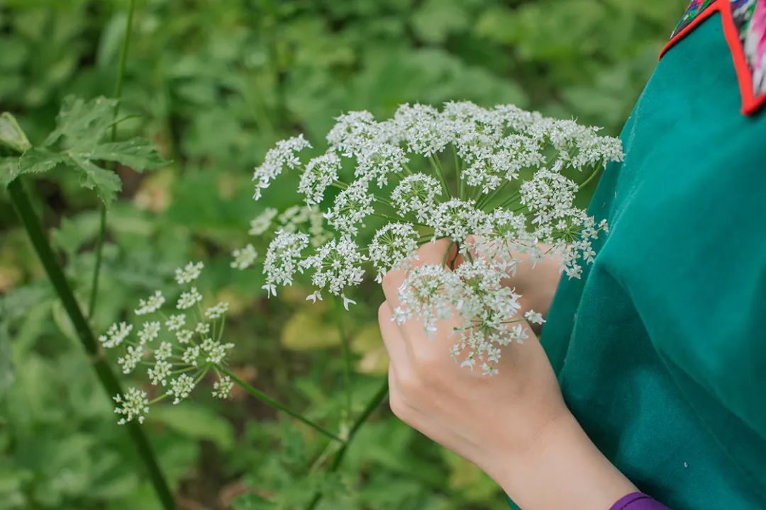 惊蛰新启，络门舒与你共赴肌肤新生之旅