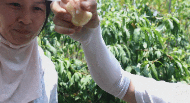 车程只要半个小时,就能美食相伴、策马奔腾潇潇洒洒?