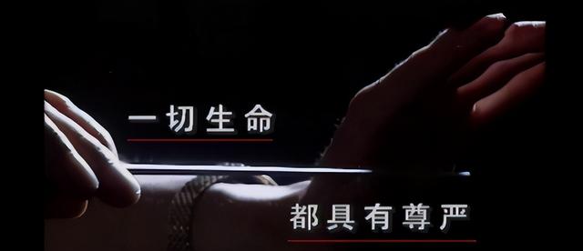 智商3岁“天才指挥家”舟舟,繁华逝去,谎言过后又是怎样的人生