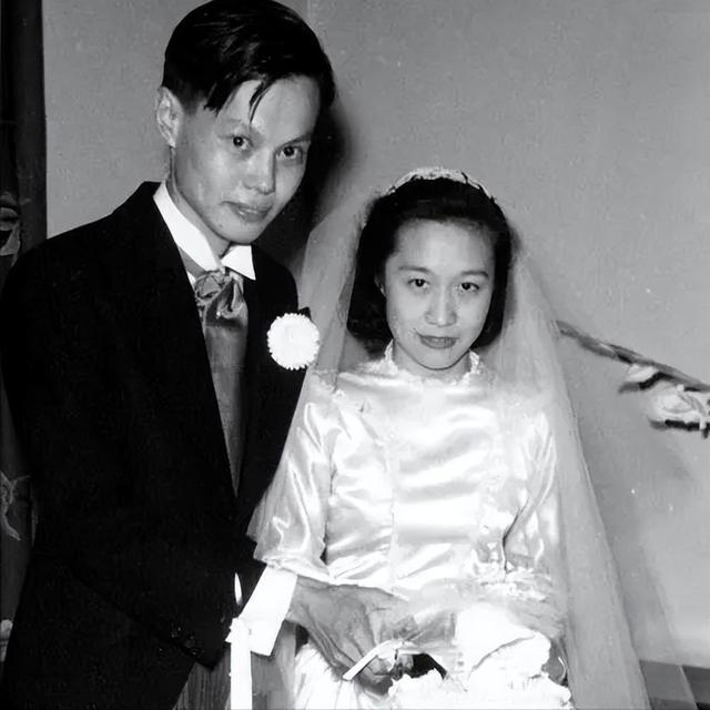 翁帆野心渐长，早已铺好退路？杨振宁心领神会为何不愿指出