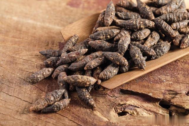 中医教你用三味中药，搞定胃炎、胃溃疡、老胃病（附中成药）