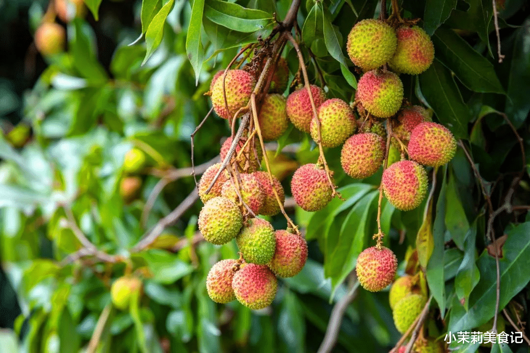 买荔枝时,内行人遇到“这4种”转身就走,果农:谁买谁后悔