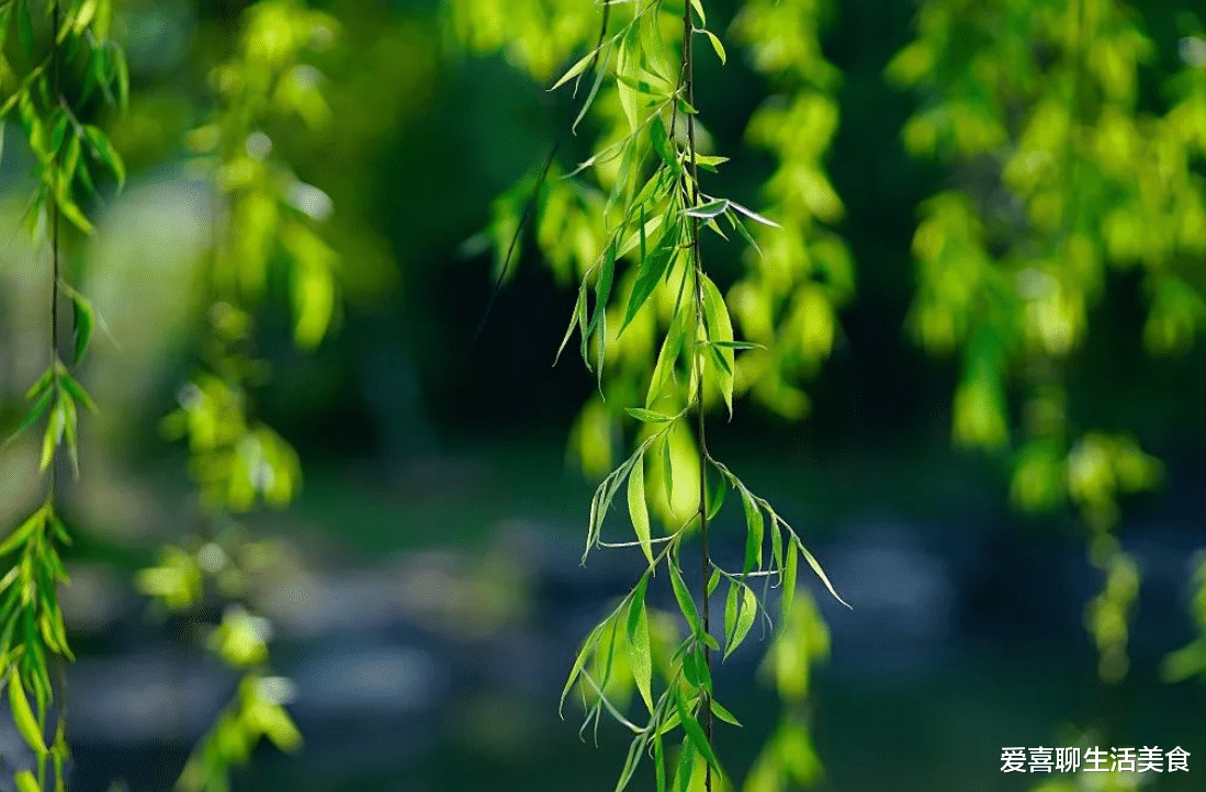 明日清明节，2事莫做、3俗要守、4食要吃，尊重老传统，子孙福气多